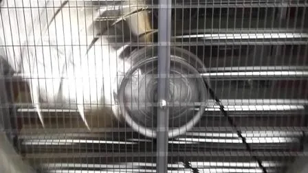 Промышленный вытяжной вентилятор с падением молотка/вентилятор для птичника